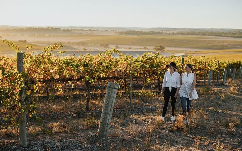 Why the Clare Valley is one of Australia’s best havens for wine lovers