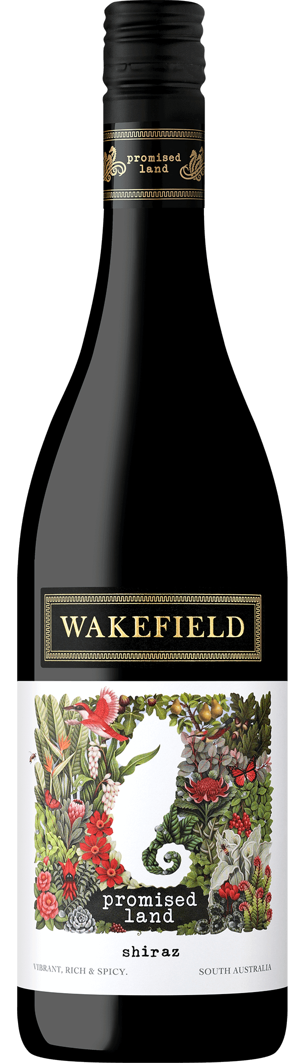 Promised Land Shiraz 2018