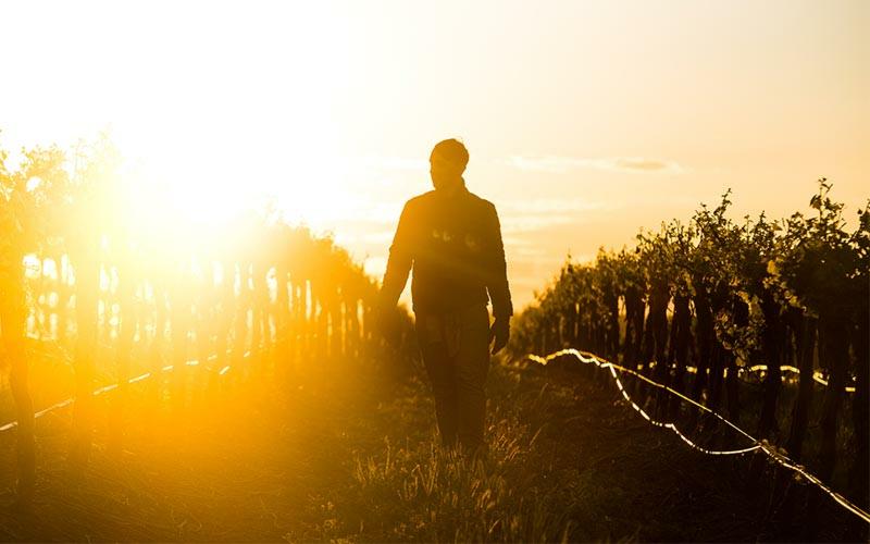 Hard Work and Inspiration Rewarded with Success on World Stage