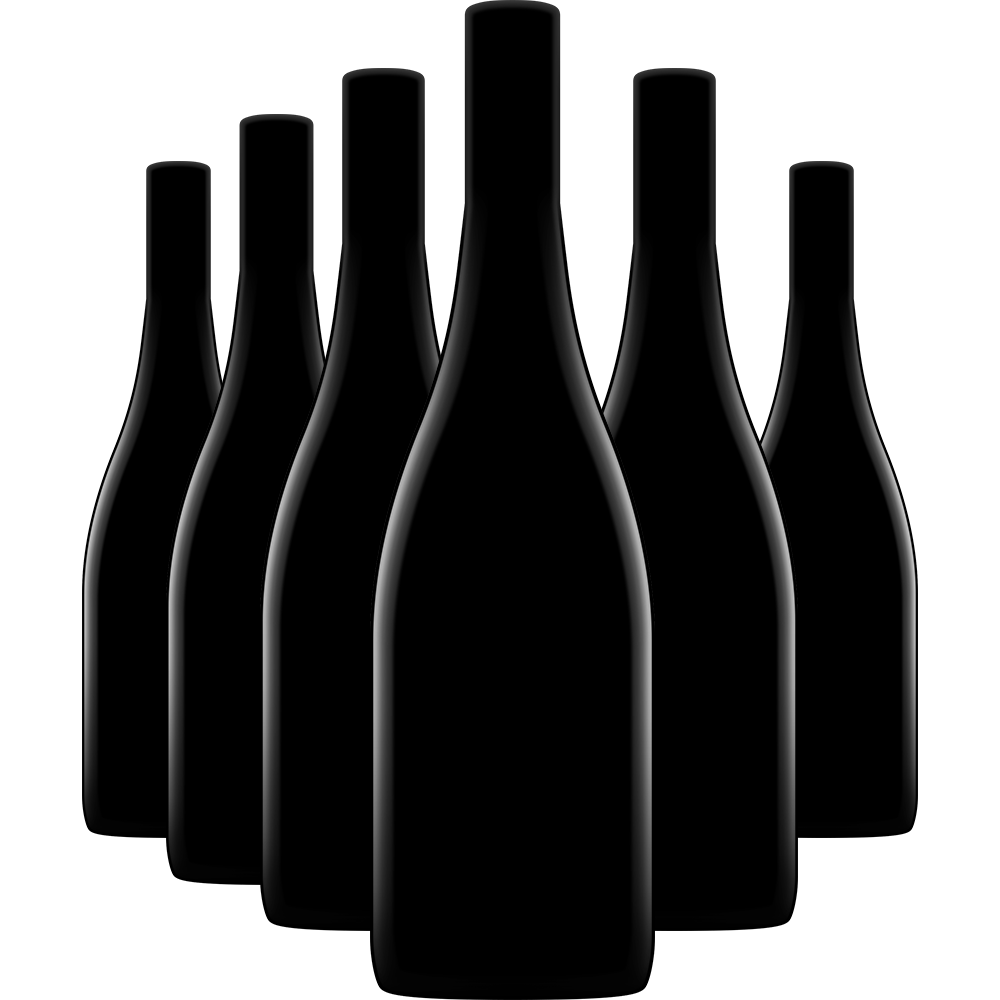 Mystery Shiraz 6-pack