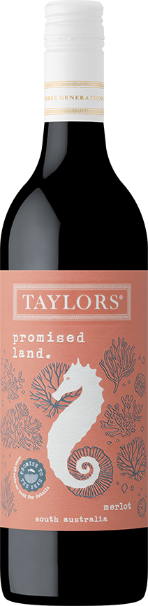 Promised Land Merlot 2023 Taylors 750 6 DOM S